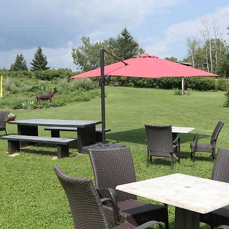 Auberge La Daina Baie-Saint-Paul Exterior foto
